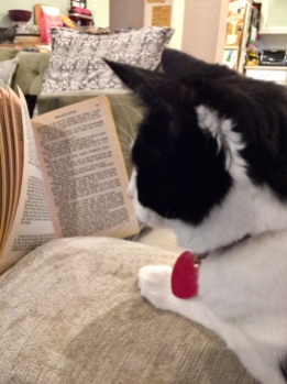 Literary Cat